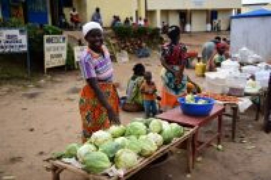 Vista para los negocios: agricultoras que se convierten en empresarias en Rwanda
